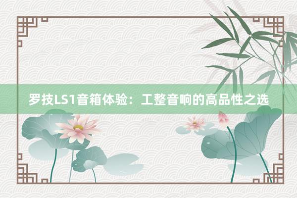 罗技LS1音箱体验：工整音响的高品性之选