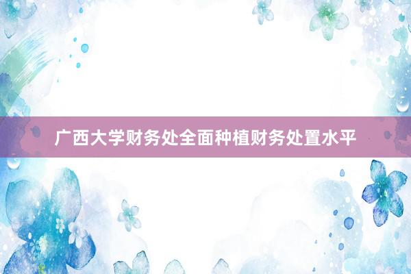 广西大学财务处全面种植财务处置水平