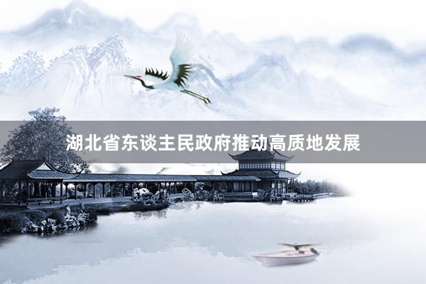 湖北省东谈主民政府推动高质地发展