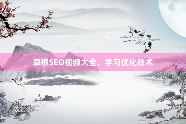 草根SEO视频大全，学习优化技术