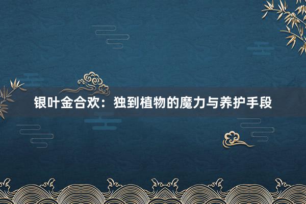 银叶金合欢：独到植物的魔力与养护手段